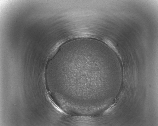 X0000066020389200603101628