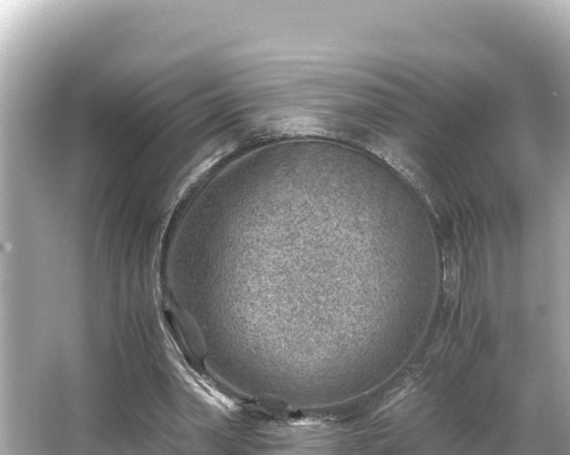 X0000066020390200603101628