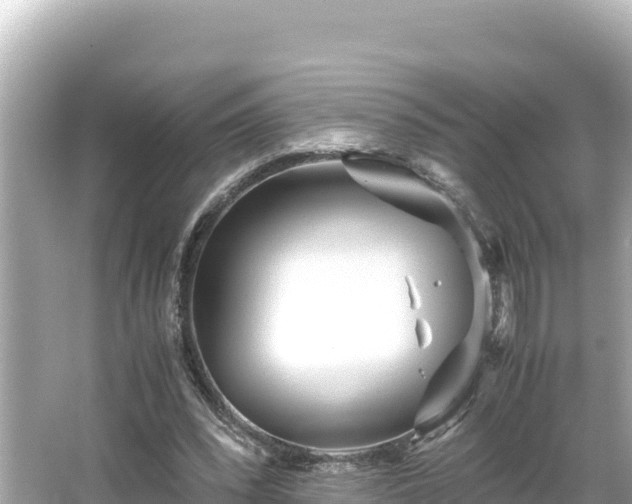 X0000066020392200603101628