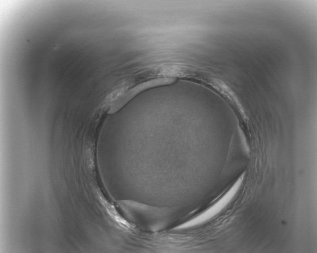 X0000066020393200603101628