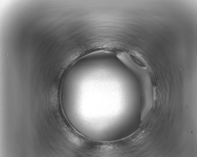 X0000066020394200603101628