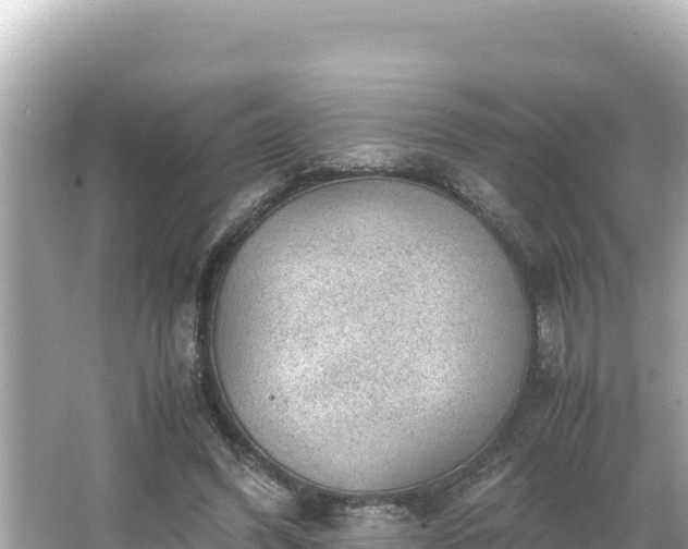 X0000066020396200603101628