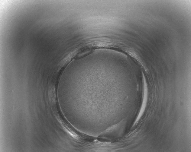 X0000066020397200603101628