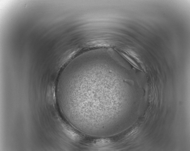 X0000066020398200603101628