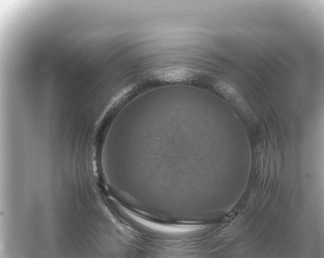 X0000066020400200603101628