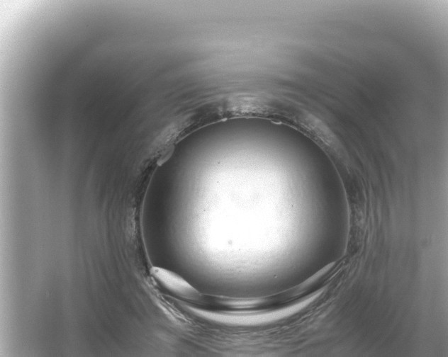 X0000066020401200603101628