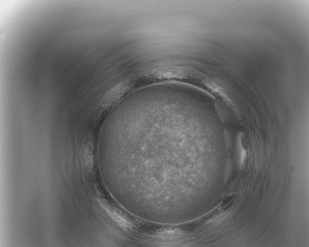 X0000066020402200603101628