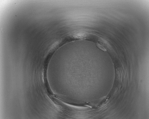 X0000066020404200603101628