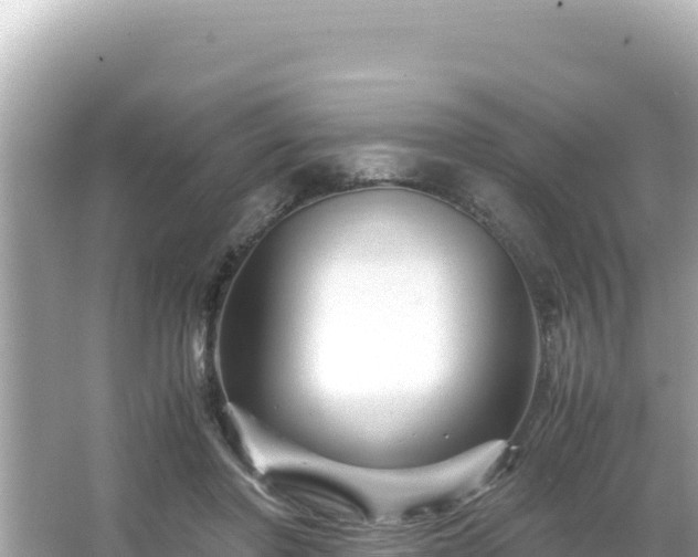 X0000066020406200603101628