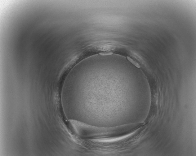 X0000066020407200603101628