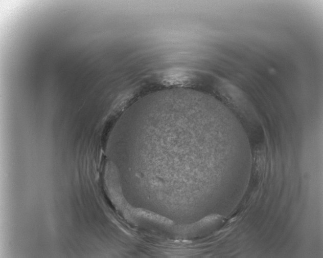 X0000066020408200603101628