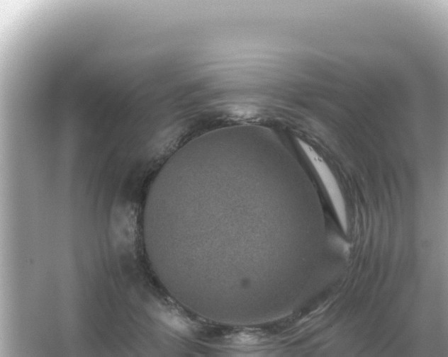 X0000066020412200603101628