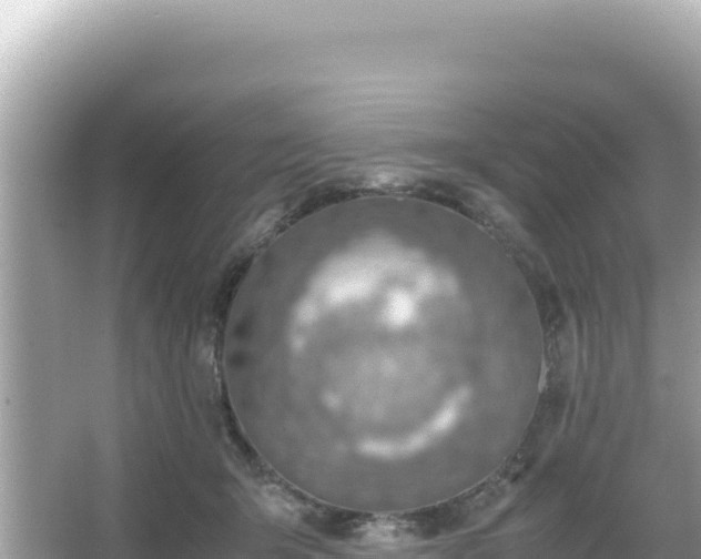 X0000066020415200603101628