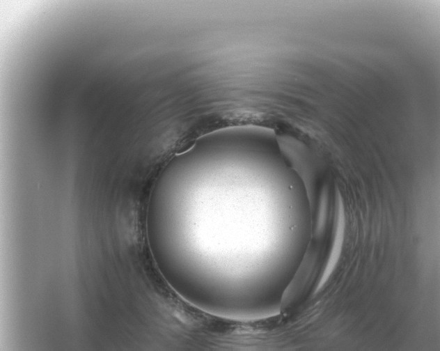 X0000066020416200603101628