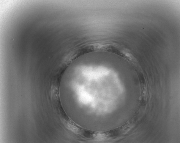 X0000066020419200603101628