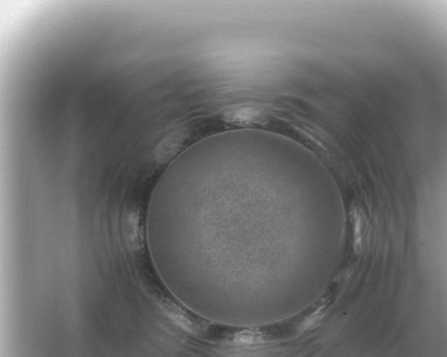 X0000066020420200603101628