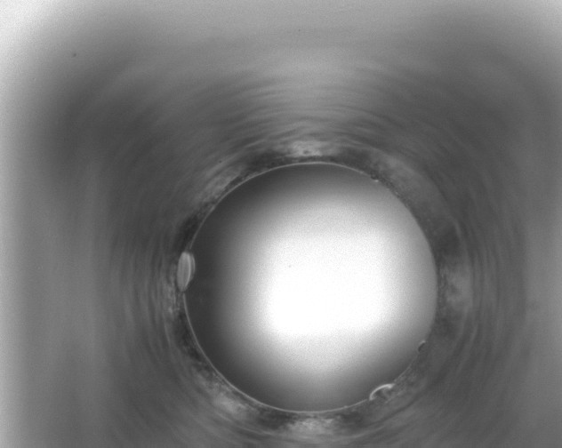 X0000066020422200603101628