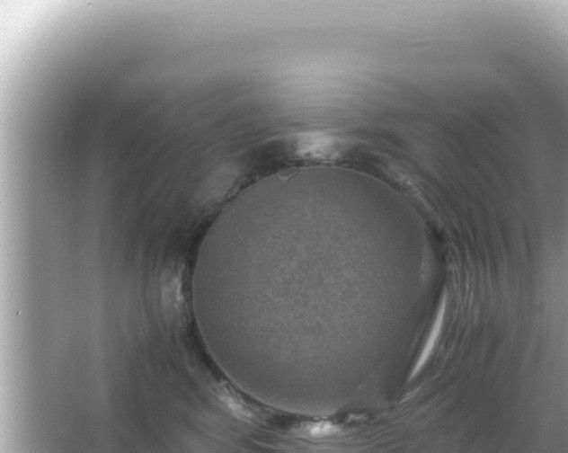 X0000066020424200603101628