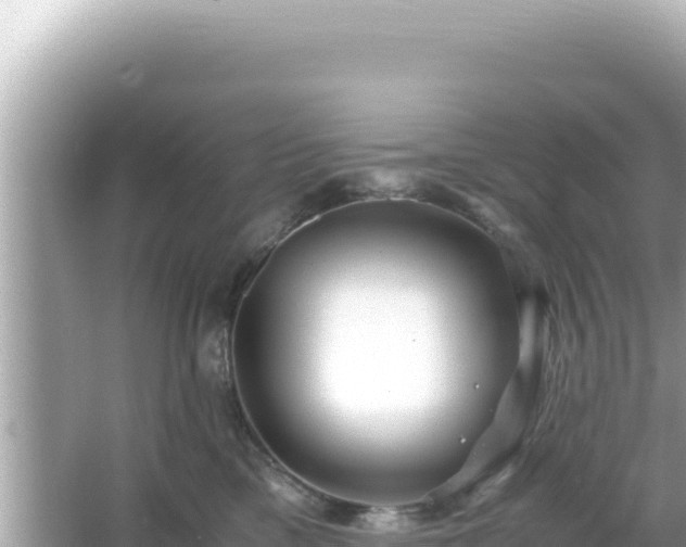 X0000066020425200603101628