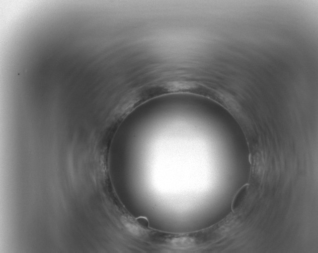 X0000066020426200603101627