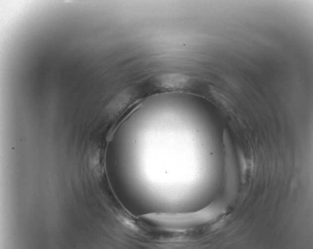 X0000066020428200603101627