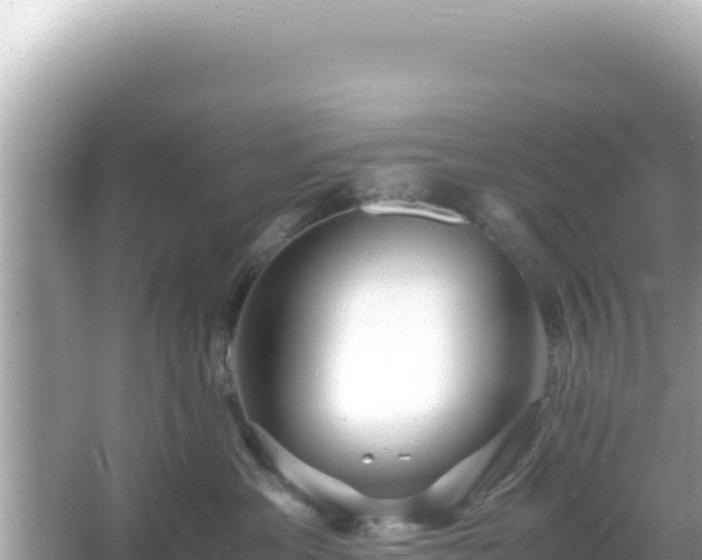 X0000066020429200603101627