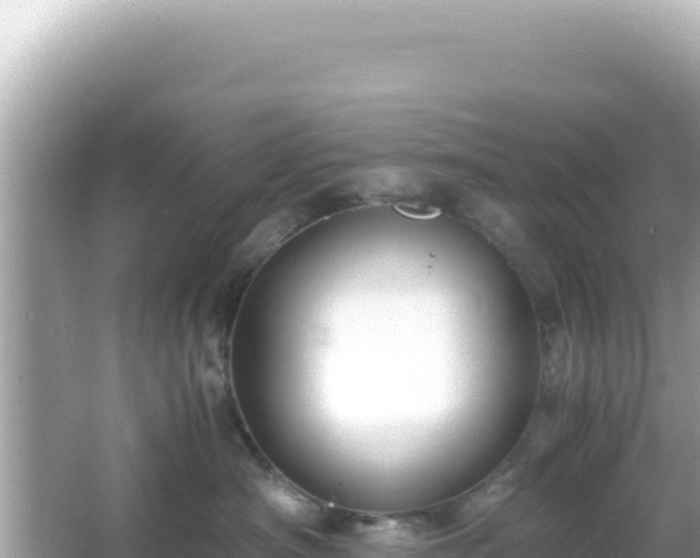 X0000066020430200603101627