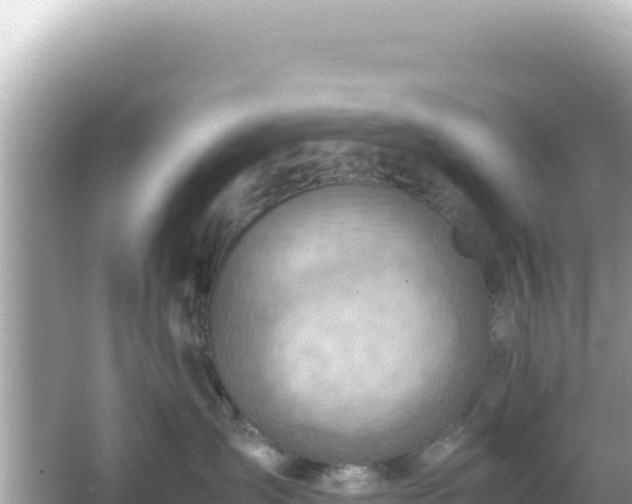 X0000066020431200603101627