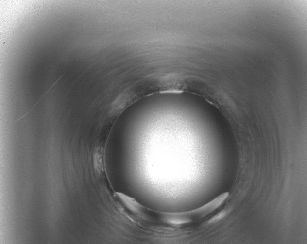 X0000066020432200603101627