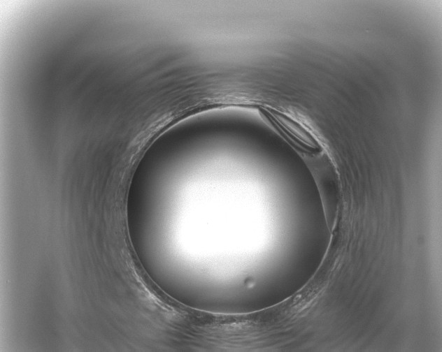 X0000066020433200603101627