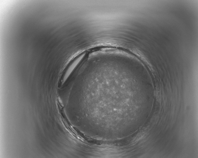 X0000066020434200603101627