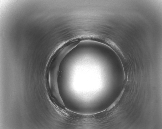 X0000066020436200603101627