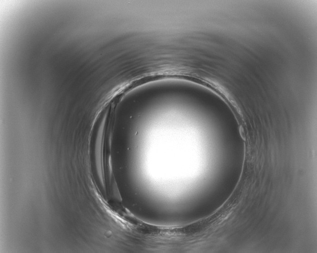 X0000066020437200603101627