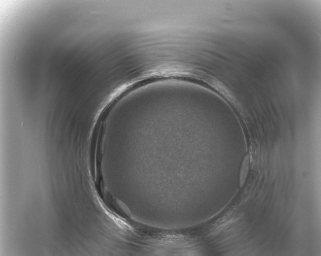 X0000066020438200603101627