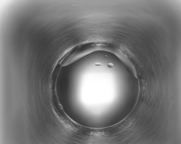 X0000066020440200603101627