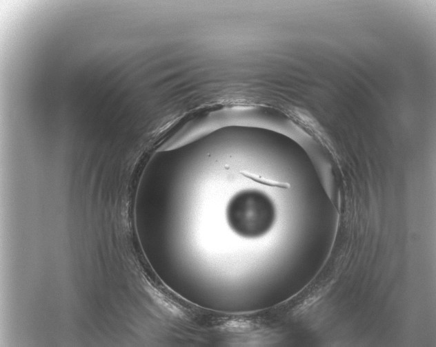 X0000066020441200603101627