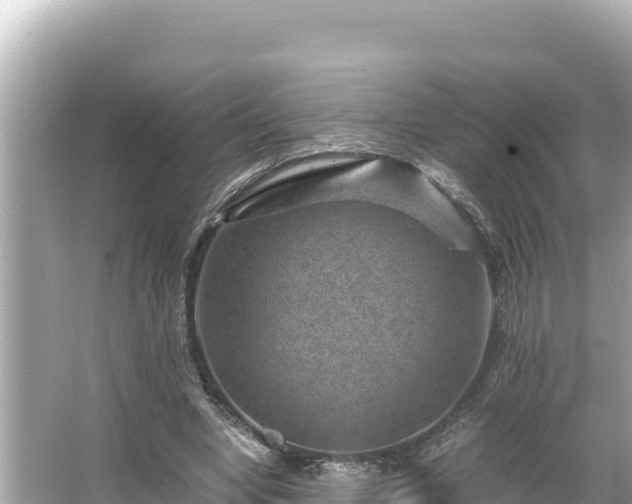 X0000066020442200603101627