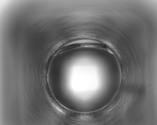 X0000066020445200603101627