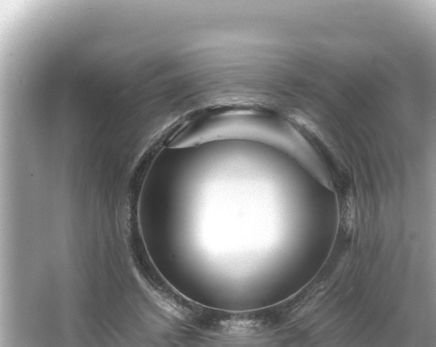 X0000066020448200603101627