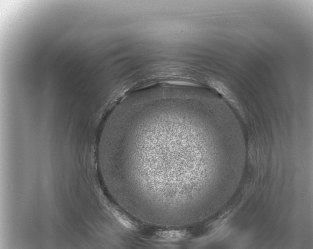 X0000066020449200603101627