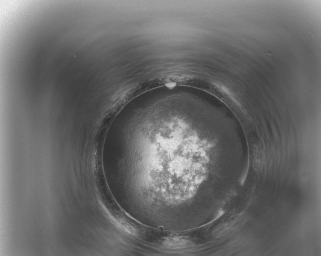 X0000066020451200603101627