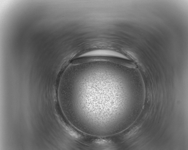 X0000066020453200603101627