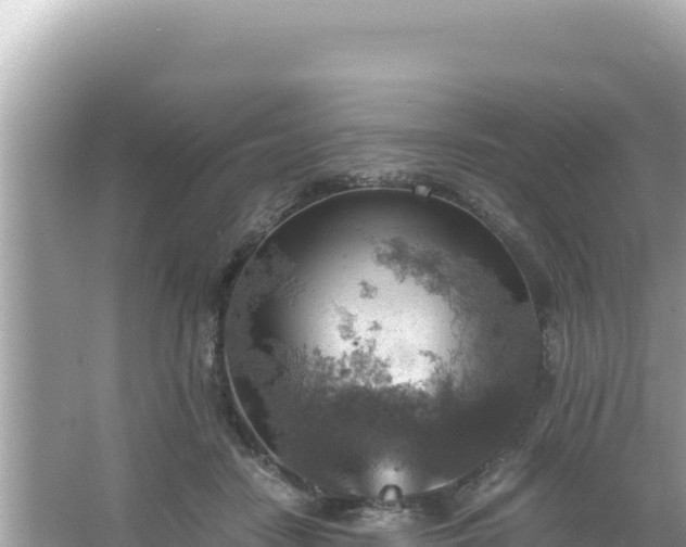 X0000066020458200603101627