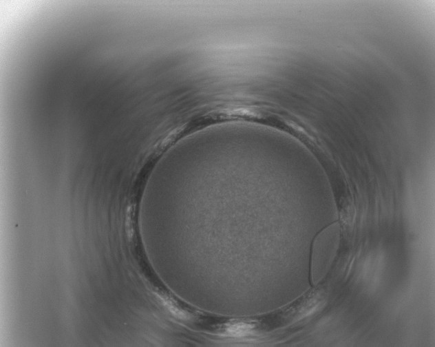 X0000066020462200603101627