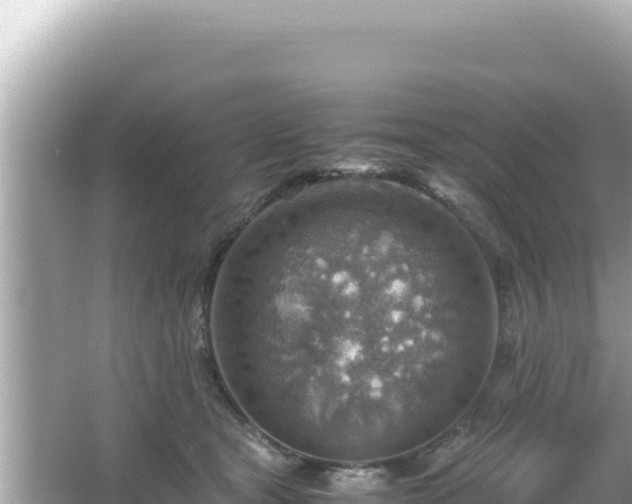 X0000066020465200603101627