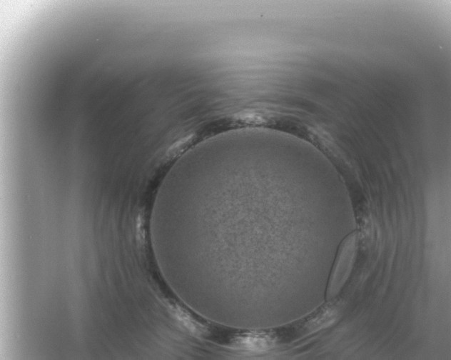 X0000066020466200603101627