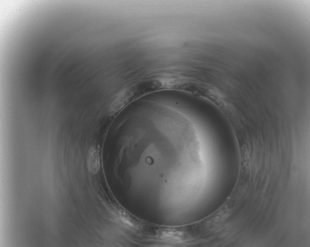 X0000066020471200603101627