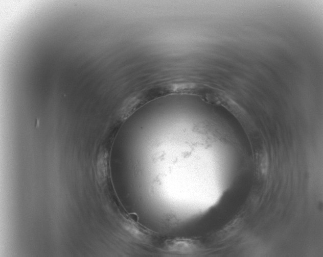 X0000066020475200603101627