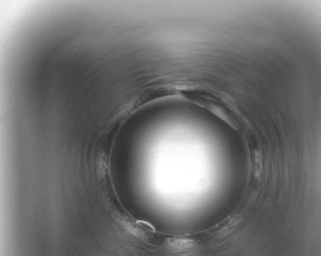 X0000066020476200603101627