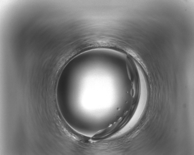 X0000066020481200603101627